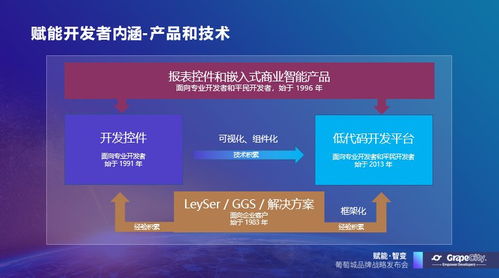 葡萄城發(fā)布新使命 賦能開(kāi)發(fā)者，驅(qū)動(dòng)業(yè)務(wù)創(chuàng)新